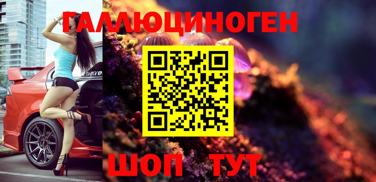 Галлюциногенные грибы Psilocybine cubensis Сальск