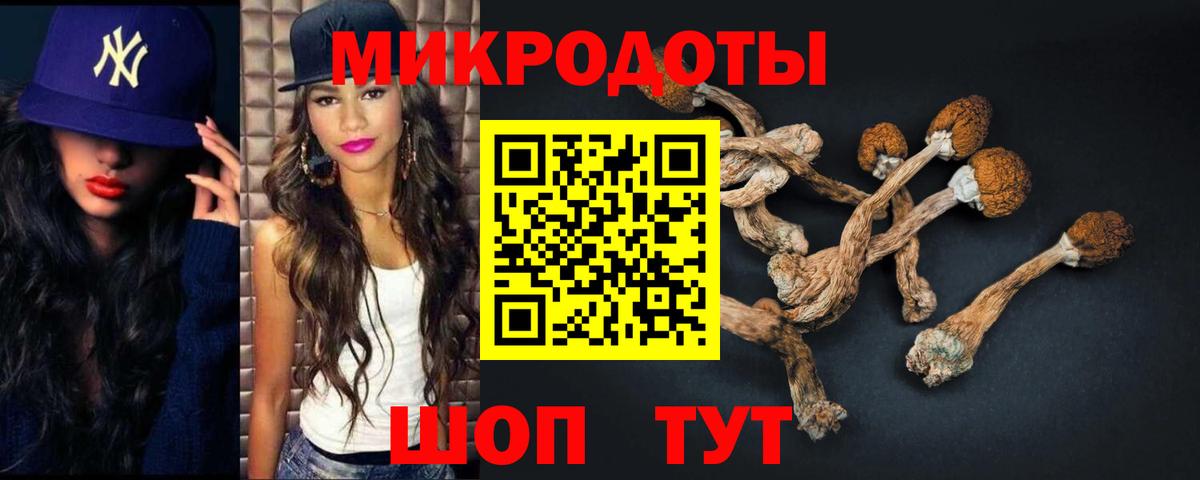 Сальск  Галлюциногенные грибы Cubensis  Вход с VPN 